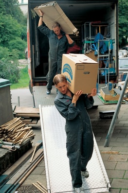 Carol, Moving Day-0